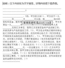 技術(shù)轉(zhuǎn)讓合同（示例文本）