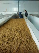 醬油釀造技術(shù)轉(zhuǎn)讓 傳統(tǒng)工藝與現(xiàn)代商業(yè)的融合之道